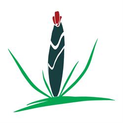 Azienda Agricola Zafferano di Persiani Roberto