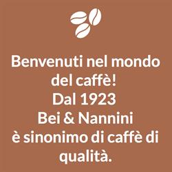 Bei e Nannini Srl
