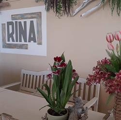 Bar Bagni La Rina