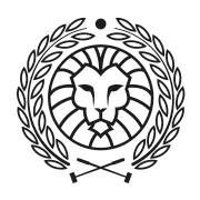 Venezia Mestre Bike Polo Asd