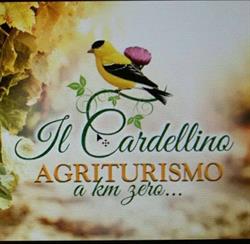 Azienda Agricola Terrini