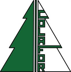 Consorzi Forestali