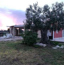 Casale Monte d'Alba