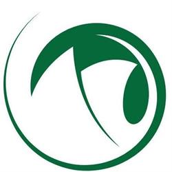 Green Beach Spiaggia e Cucina Passoscuro