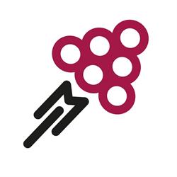 Wine Marketing Italia