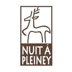Nuit à Pleiney