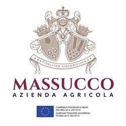 Azienda Agricola F.lli Massucco - Cantina nel Roero