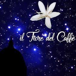 Il Fiore del Caffe