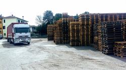 Pallets Bertini Massimiliano S.R.L