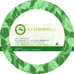 Dolcelandia F.lli Borzì