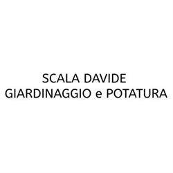 Scala Davide Giardinaggio e Potatura