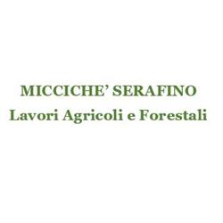 Micciche Eliseo