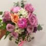 Gallery Professionale
