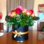 Gallery Professionale