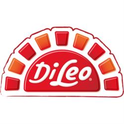 Di Leo Pietro Spa