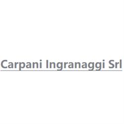 Carpani Ingranaggi Srl