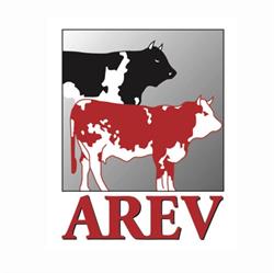 A.R.E.V.