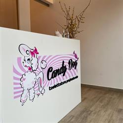 CandyDog