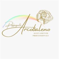 Allevamento Pappagalli Arcobaleno