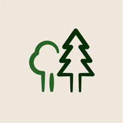 Studio Tecnico Francesco Billi Dottore Forestale