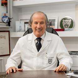 Prof. Dario Perugia