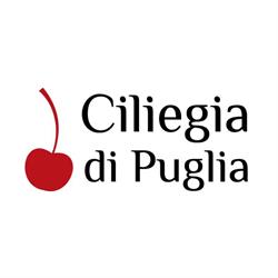 Ciliegia di Puglia
