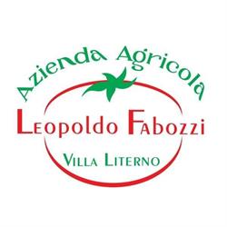 Azienda Agricola Fabozzi