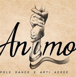 Animo Pole dance e Arti aeree asd- Pietrasanta