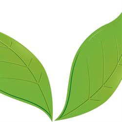 Greentime