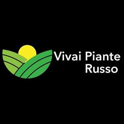 Vivai Piante Russo