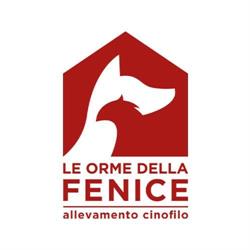 Allevamento Le Orme della Fenice