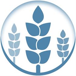 Centro Reiki - Le Tre Spighe