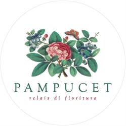 Pampucet