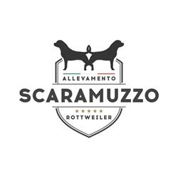 Allevamento Scaramuzzo - Rottweiler e Corso