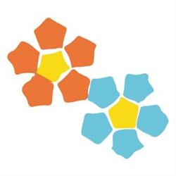 Polyedra Network