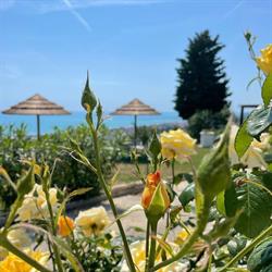 Countryhouse Luce Sulla Collina