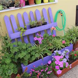 B&B Santa Barbara