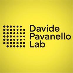 Davide Pavanello Lab