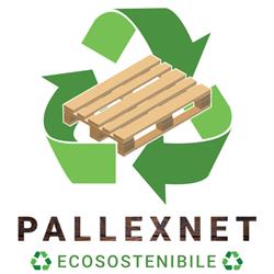 Pallexnet
