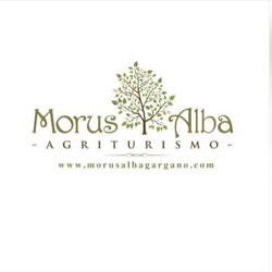 Agriturismo Morus Alba Gargano
