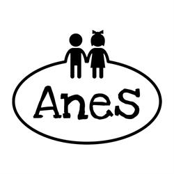 Centro ANES