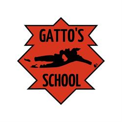 Gatto's School