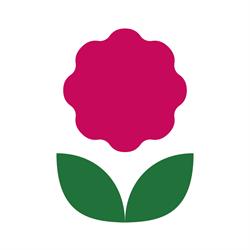 Fiori di Mari