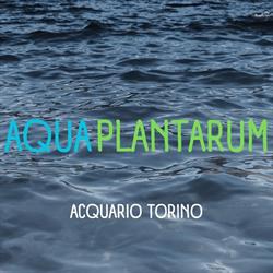 Aquaplantarum Acquari e Accessori
