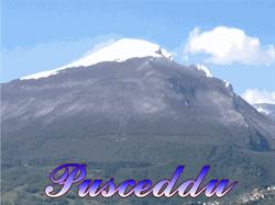 Agenzia Funebre Pusceddu Isidoro
