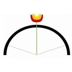 L' Arco Società Cooperativa Sociale