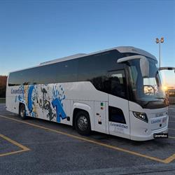 Levantebus