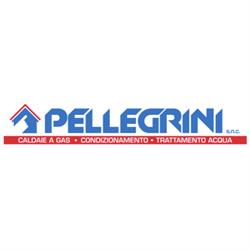 Pellegrini Srl