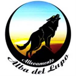 Allevamento Alba del Lupo