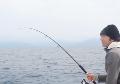 Canna Spinning Potente